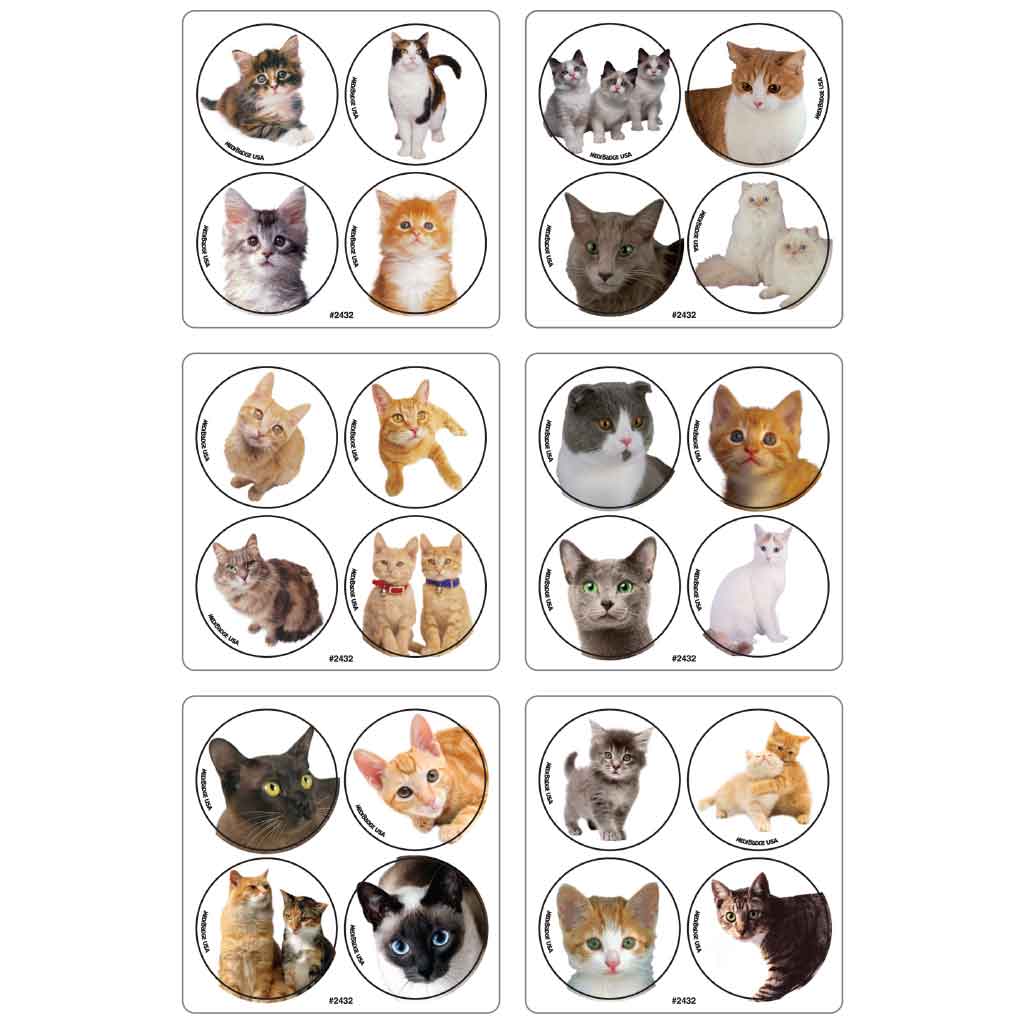 Cat Photo MiniBadges Stickers