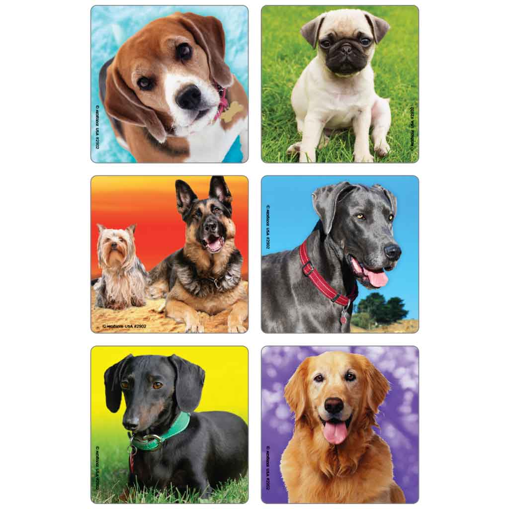 Darling Dog Photos Asst. Stickers