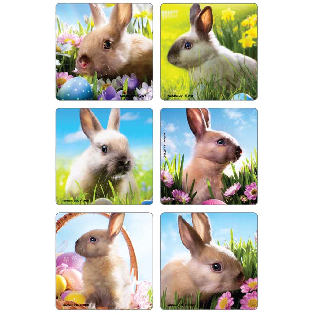 Cute Bunny Photos Asst. Stickers