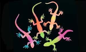 Glowing Lizard Toys